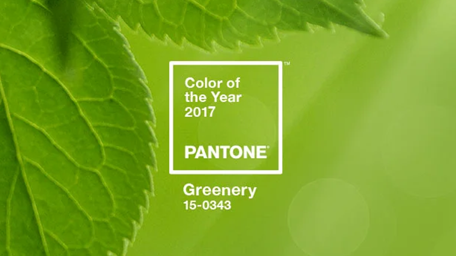Nhìn lại 10 màu sắc đại diện trong một thập kỷ của PANTONE