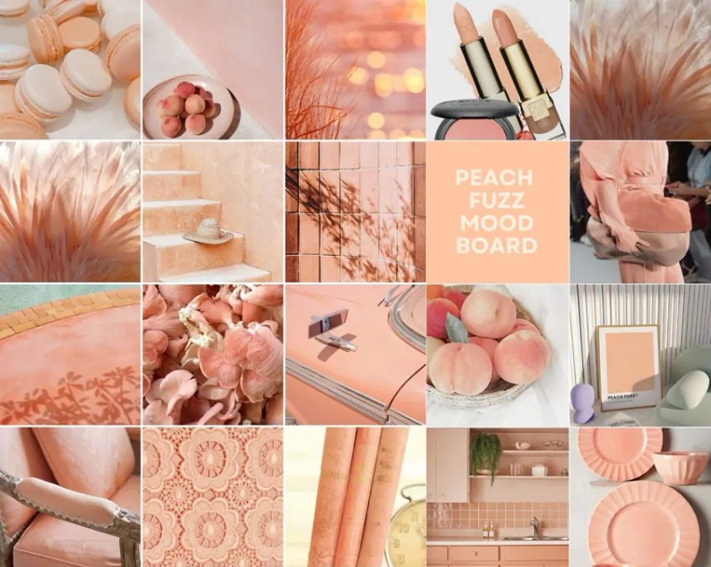 Peach Fuzz (hồng đào) – Màu sắc của năm 2024